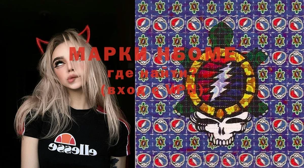 гидра Гатчина