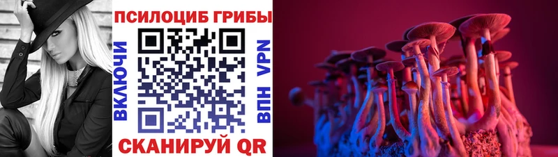 наркотики площадка клад Галлюциногенные грибы ЛСД Кимовск